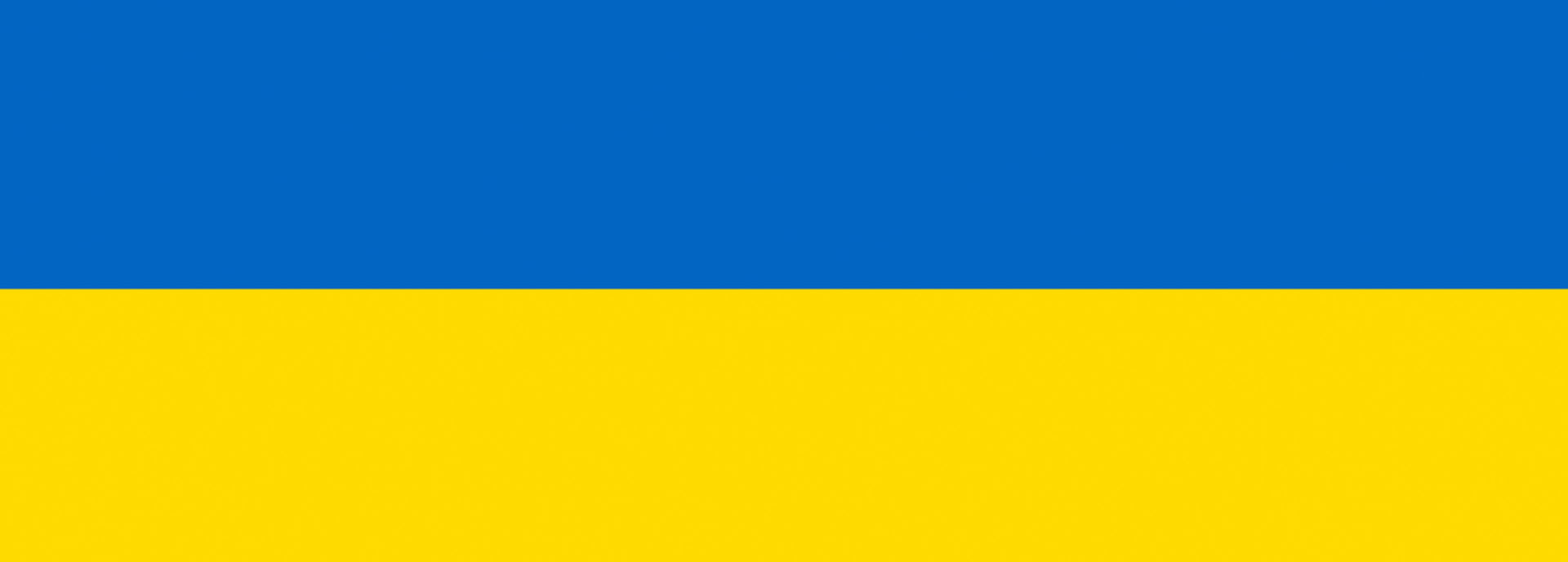 Vlag Oekraïne 2022
